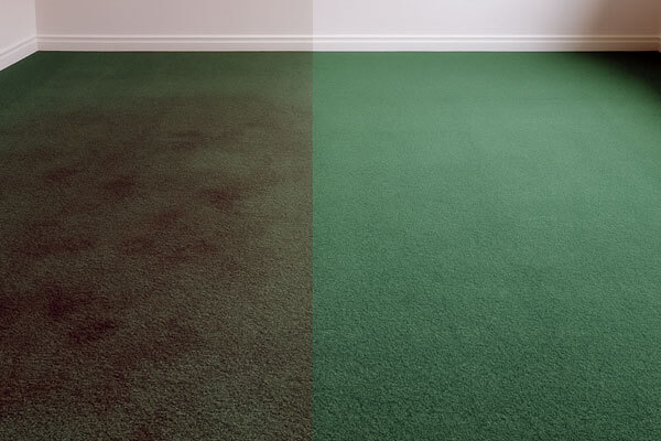 Painter & Decorator Luton