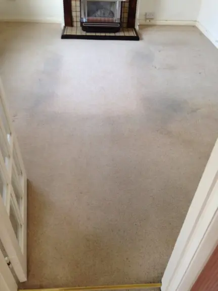 Carpet cleaning Leamington Spa
