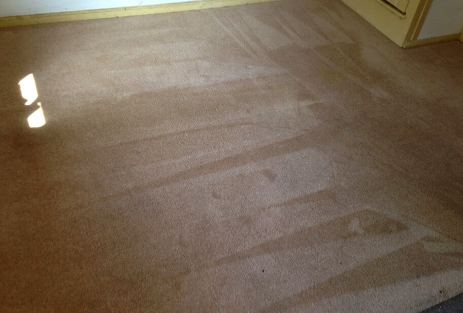 After carpet cleaning