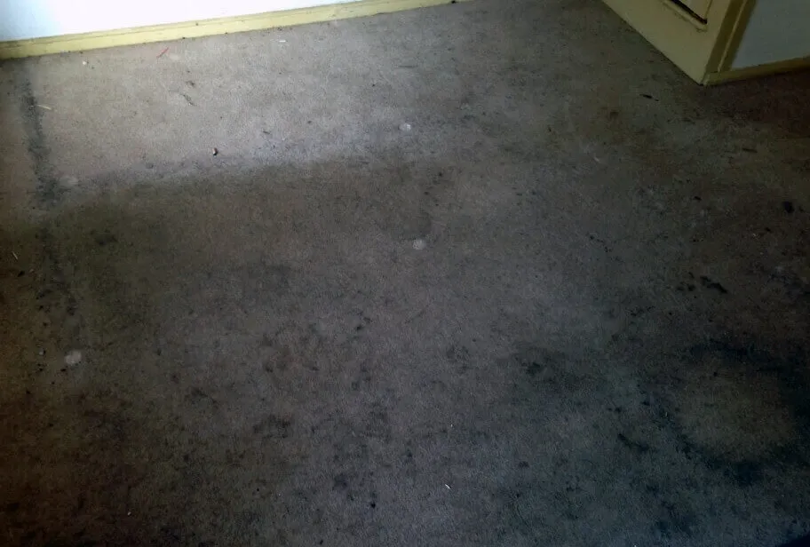 Carpet Cleaning Leamington Spa Cleaners