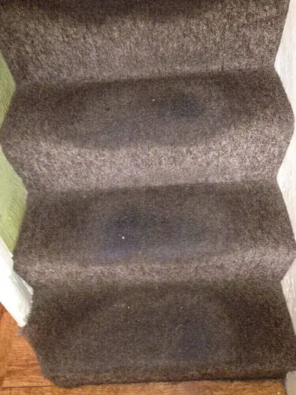 Stair Carpet cleaning Leamington Spa Stair Carpet cleaning Leamington Spa